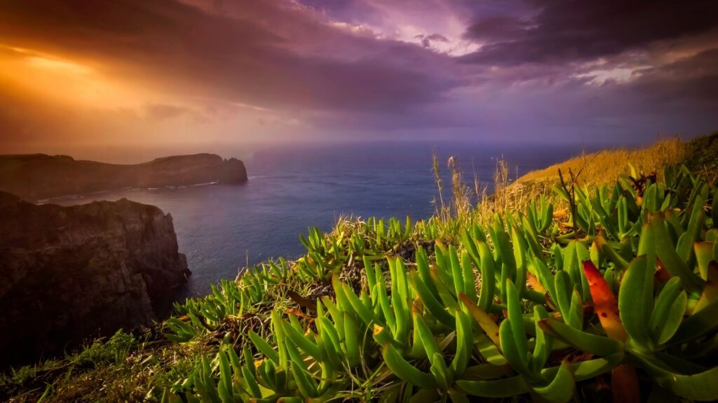 sao miguel azores