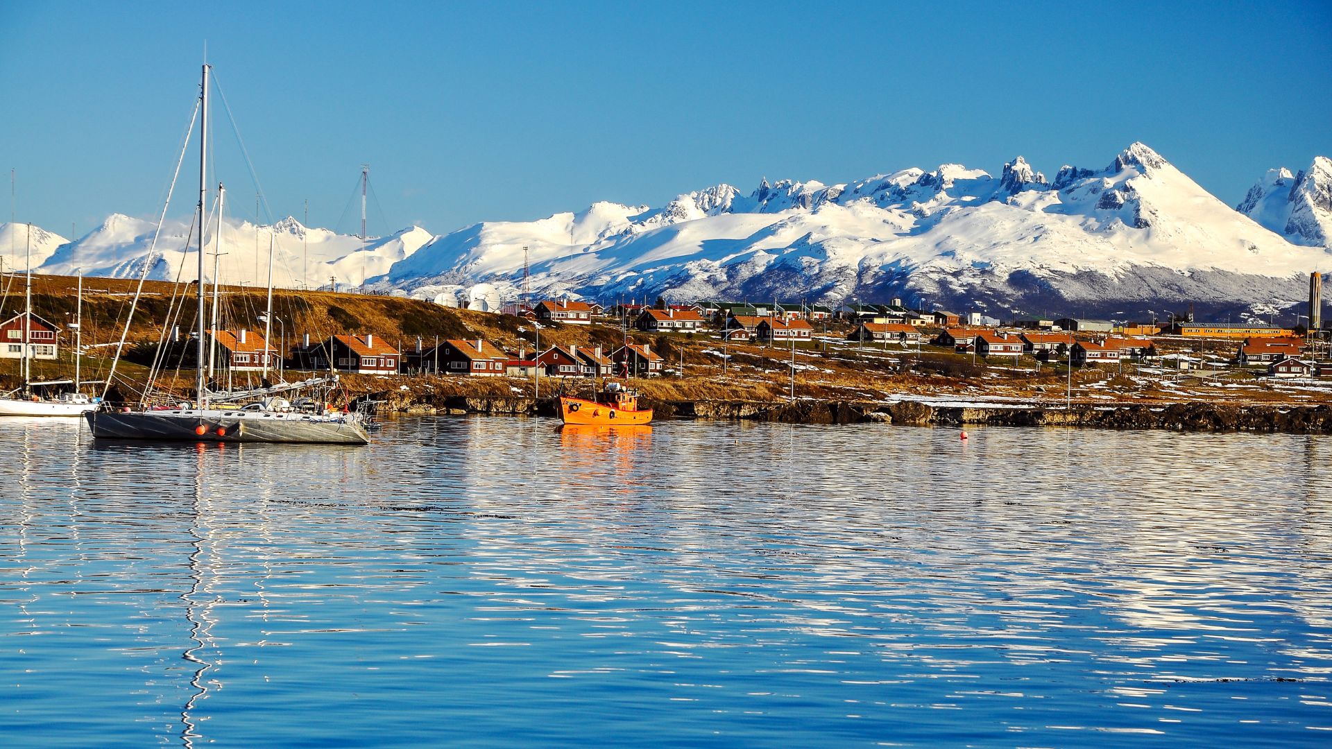 canal beagle