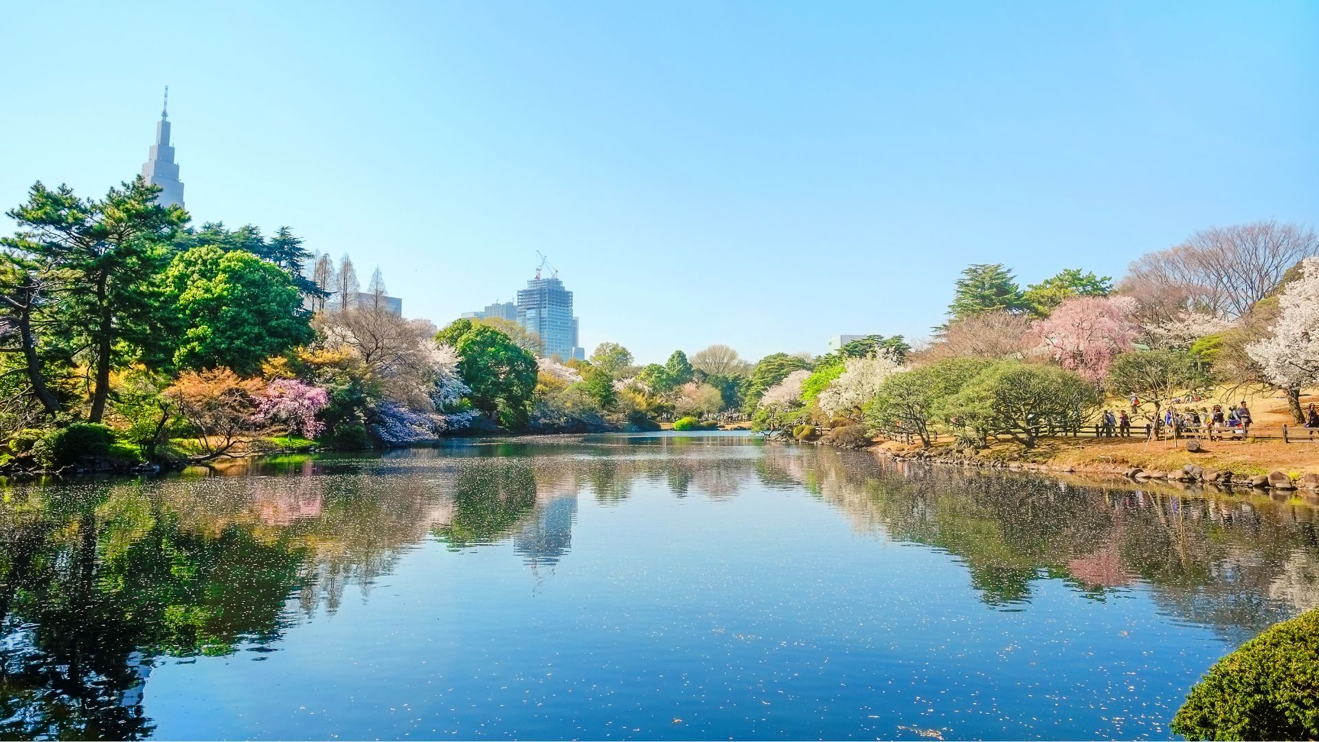 Shinjuku Gyoen