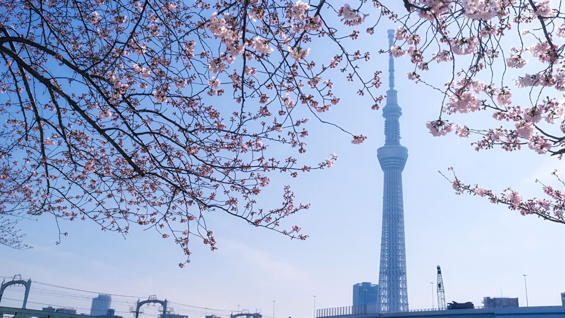 Tokyo Skytree