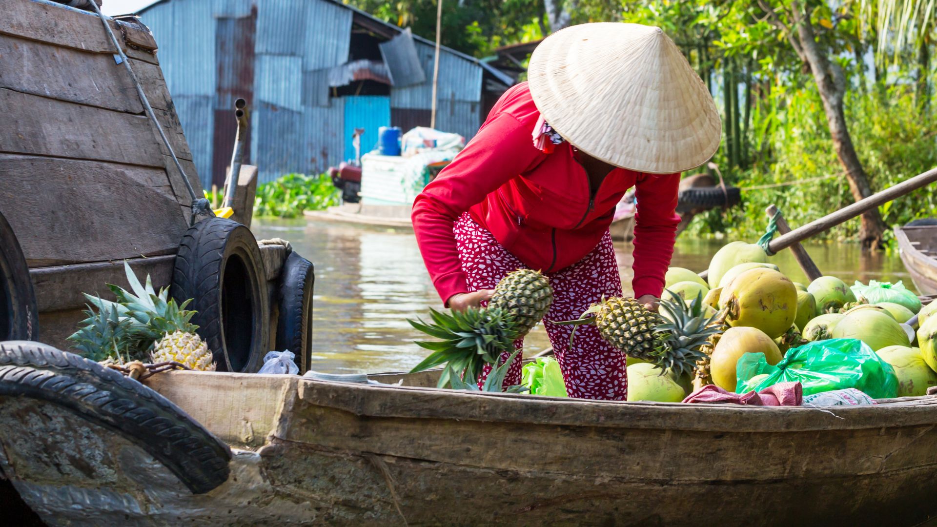 Mekong