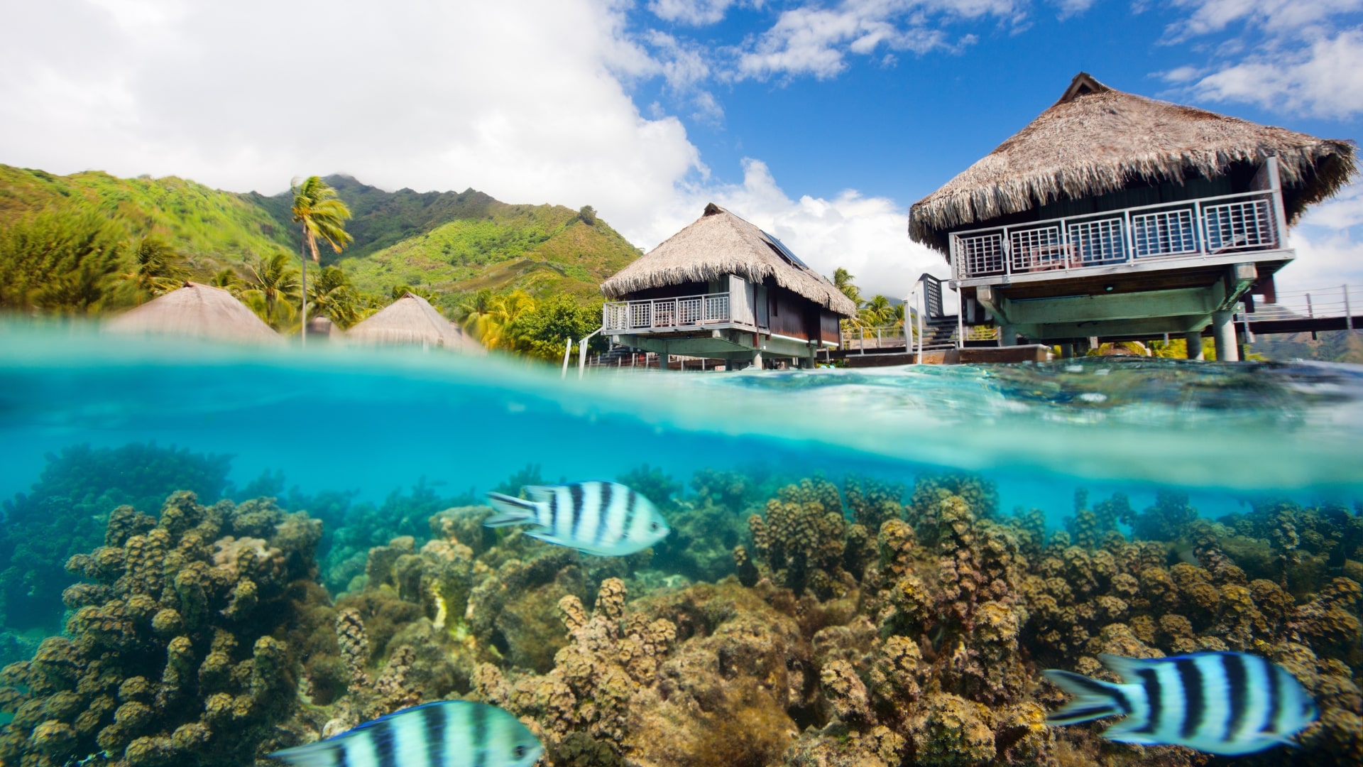 Moorea