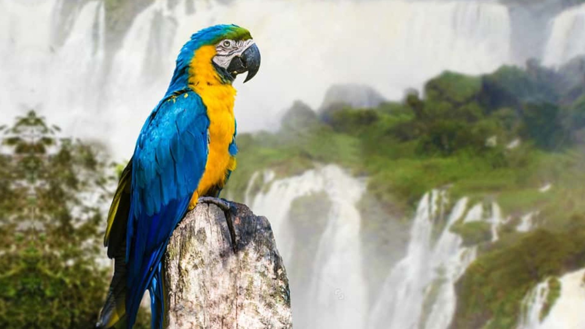 cataratas de iguazu